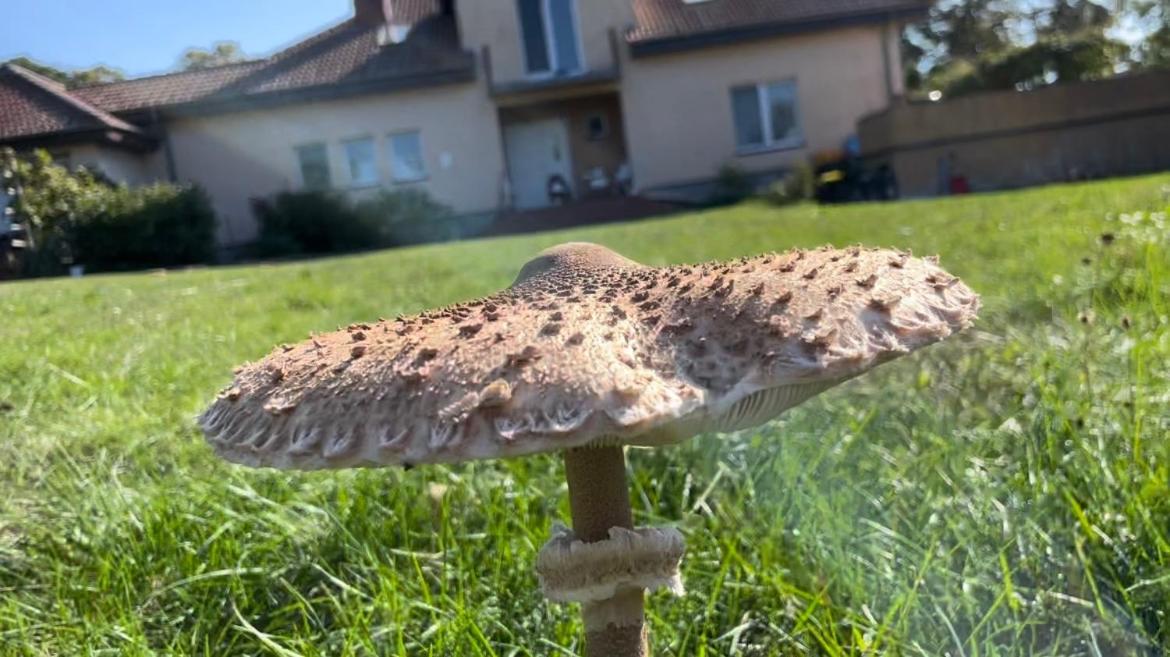 Kopice " Kowalczyk Hotel Residences In Nature Parks " Goleniów Eksteriør bilde
